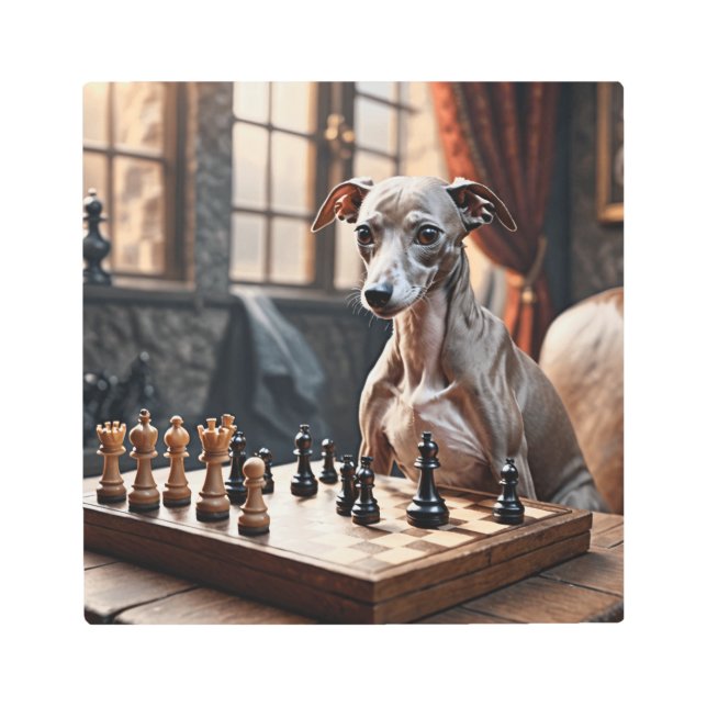 Italian Greyhound Dog Playing Chess Metal Print (Front)
