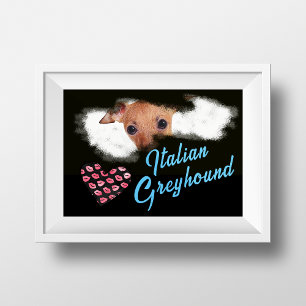 Italian Greyhound Eyes Solid Color Poster
