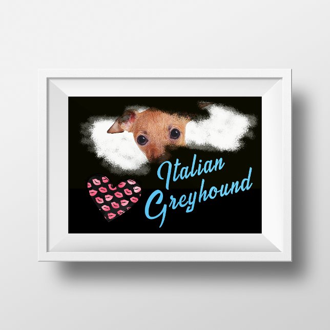 Italian Greyhound Eyes Solid Color Poster (Creator Uploaded)