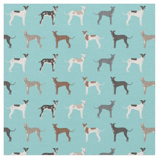 italian greyhound fabric light blue