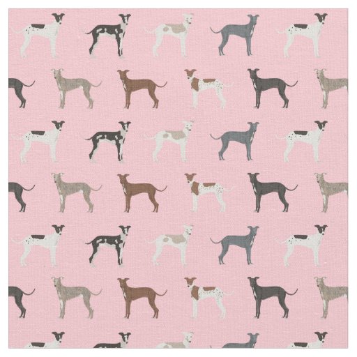 italian greyhound fabric pink