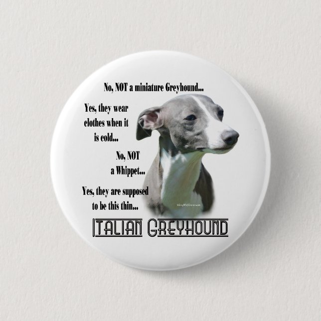 Italian Greyhound FAQ Button (Front)