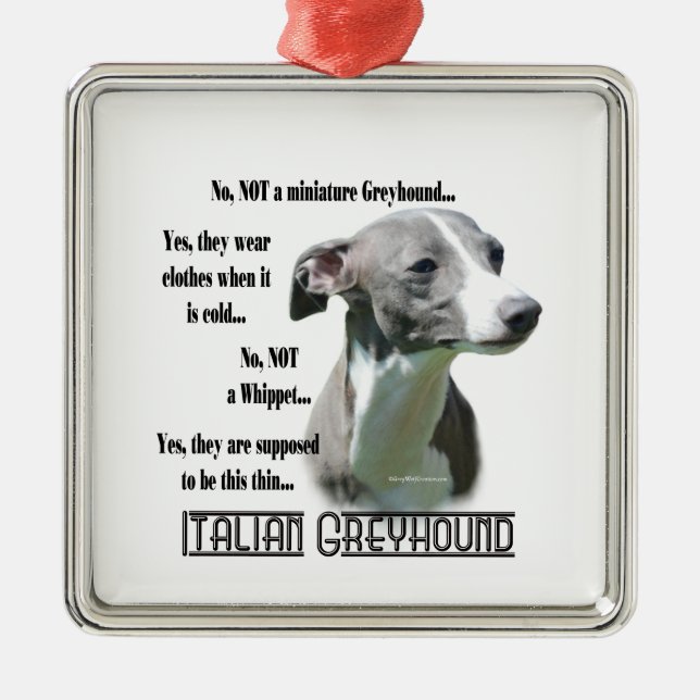 Italian Greyhound FAQ Keychain Metal Ornament (Front)