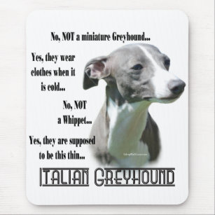 Italian Greyhound FAQ Mouse Pad
