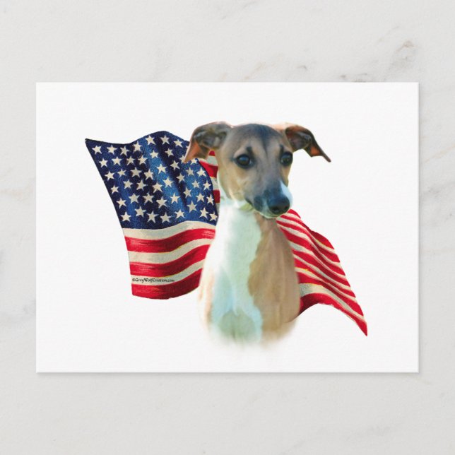 Italian Greyhound Flag Postcard (Front)