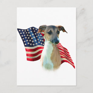 Italian Greyhound Flag Postcard