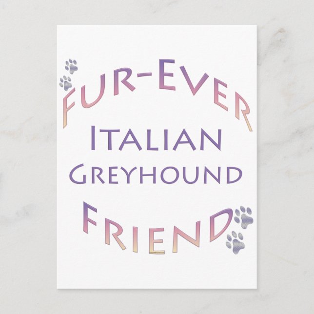 Italian Greyhound Furever Postcard (Front)