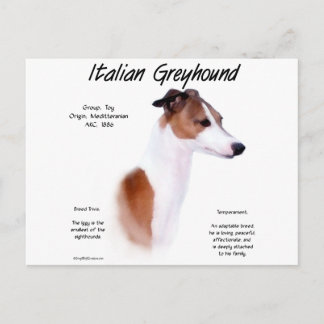 Italian Greyhound History Design Postcard