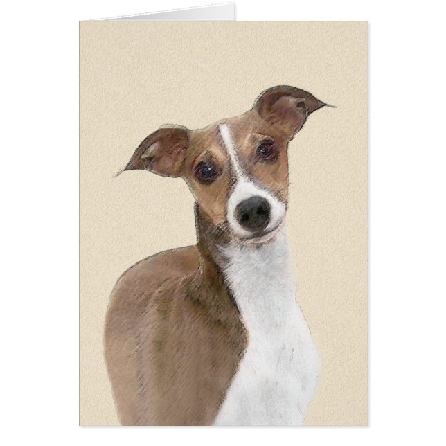 Italian Greyhound Painting - Cute Original Dog Art (Front)