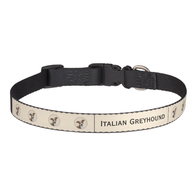 Italian Greyhound Painting - Cute Original Dog Art Pet Collar (Front)