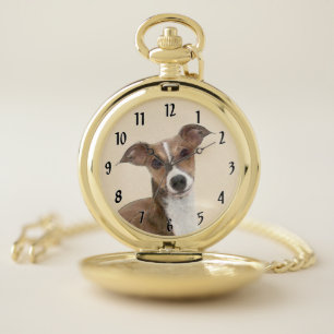 Italian Greyhound Painting - Cute Original Dog Art Pocket Watch