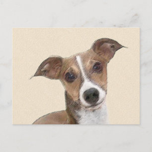 Italian Greyhound Painting - Cute Original Dog Art Postcard