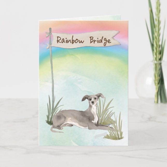 Italian Greyhound Pet Sympathy Over Rainbow Bridge Card (Front)