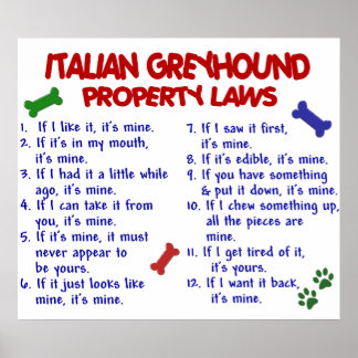 ITALIAN GREYHOUND PL2 POSTER