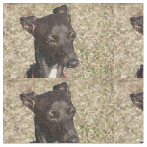 italian greyhound.png fabric