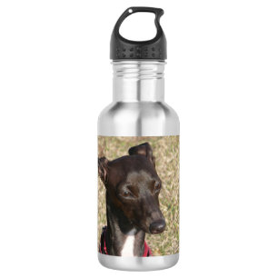 italian greyhound.png water bottle