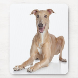 Italian Greyhound Puppy Dog Mousepad