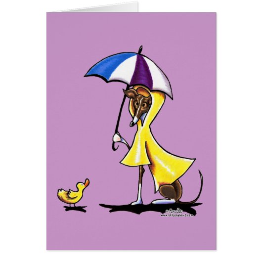 Italian Greyhound Raincoat Cards (Front)
