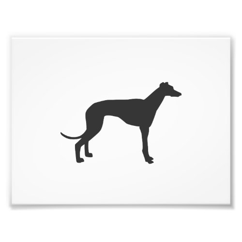 Italian Greyhound silhouette in black Photo Print