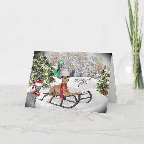 Italian Greyhound Snow Play Cards