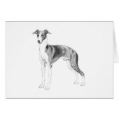 Italian Greyhound Style (Front Horizontal)