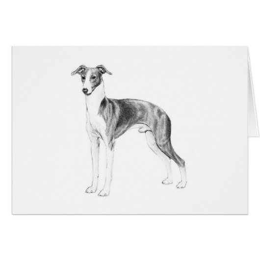 Italian Greyhound Style Cards (Front Horizontal)