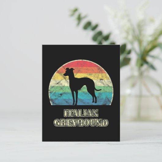 italian greyhound  style dog (Standing Front)