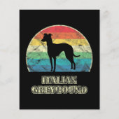 italian greyhound style dog (Front)