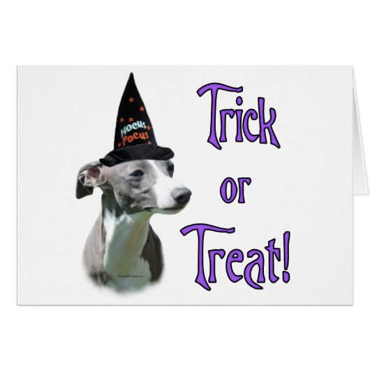Italian Greyhound Trick Cards (Front Horizontal)