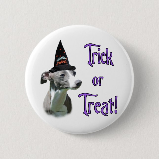 Italian Greyhound Trick Pinback Button (Front)