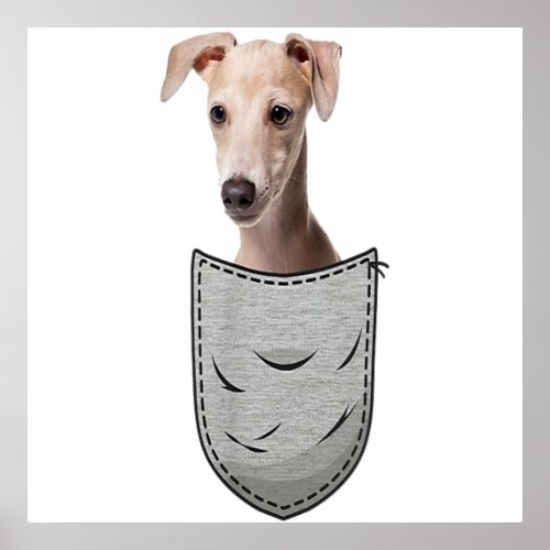 Italian Greyhound Whippet Chest Pocket For Dog Own Poster