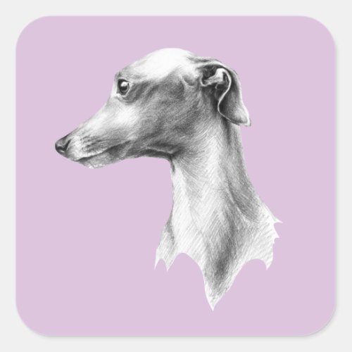 Italian Greyhound Whippet dog portrait drawing art Square Sticker