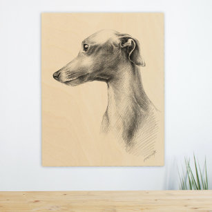Italian Greyhound Whippet dog portrait drawing Wood Wall Art