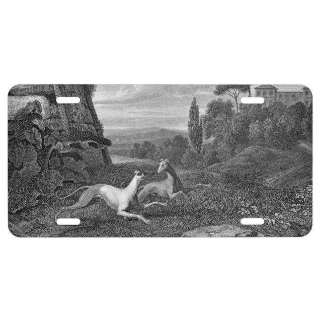 Italian Greyhounds Dog Drawing License Plate (Front)
