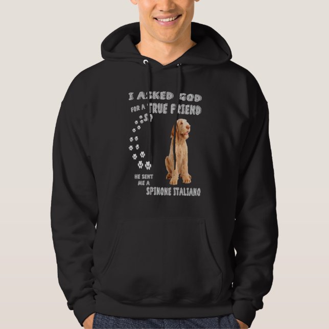 Italian Griffon Dog Mom Bracco Spinoso Dad Spinone Hoodie (Front)