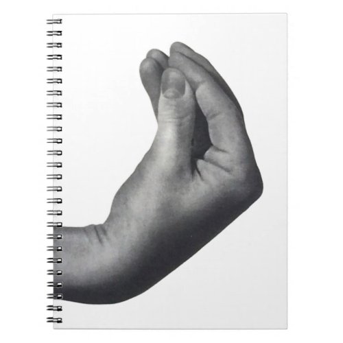   Italian Hand Notebook