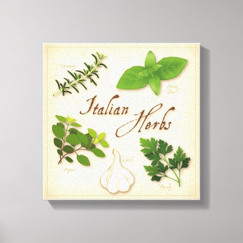 Italian Herbs Canvas Art