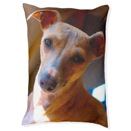 Italian Hound Dog Bed Pet Bed