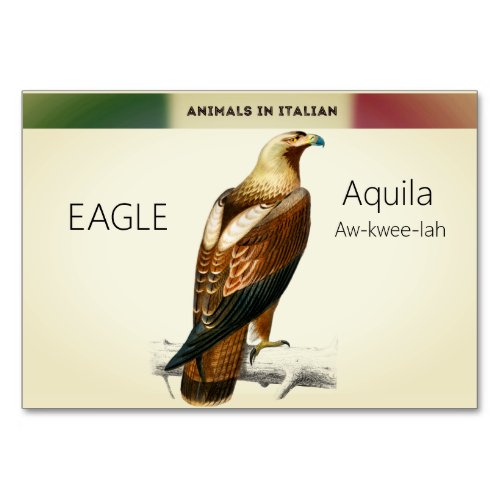 Italian Language Cards Eagle Animal Flash 