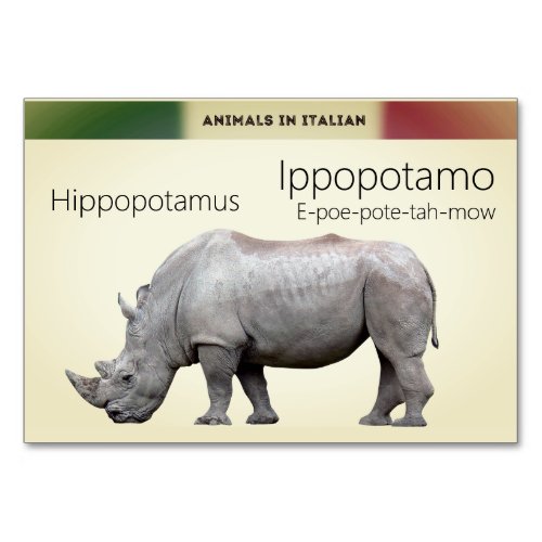 Italian Language Cards Hippopotamus Animal Flash 