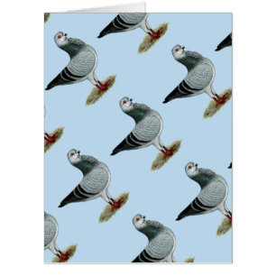Italian Owl Grizzle Pigeon Card