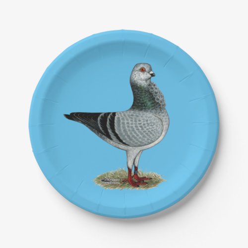 Italian Owl Grizzle Pigeon Paper Plates