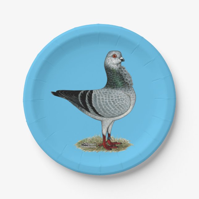 Italian Owl Grizzle Pigeon Paper Plates (Front)