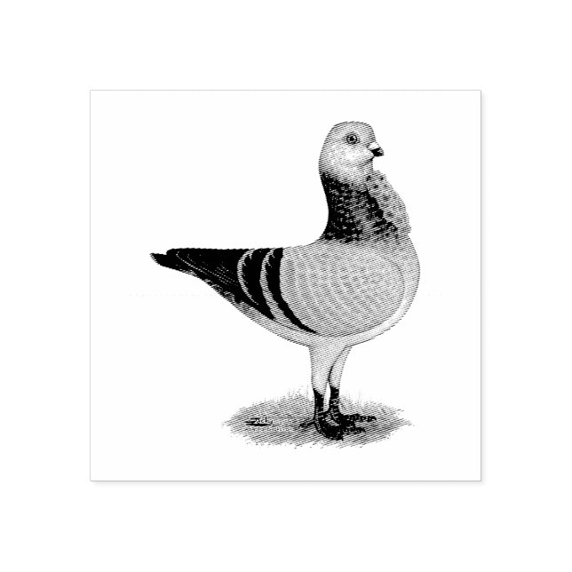 Italian Owl Grizzle Pigeon Rubber Stamp (Imprint)