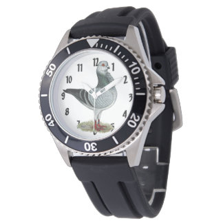 Italian Owl Grizzle Pigeon Watch