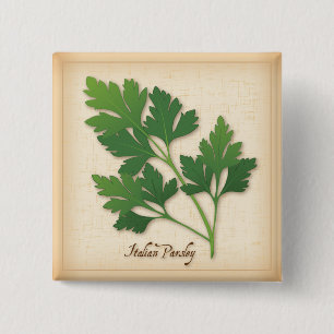 Italian Parsley Herb Pinback Button
