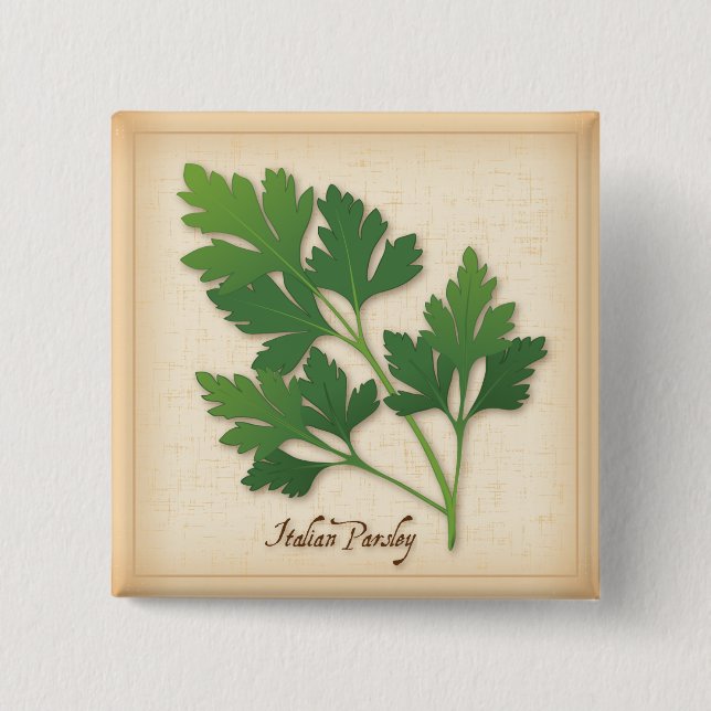 Italian Parsley Herb Pinback Button (Front)