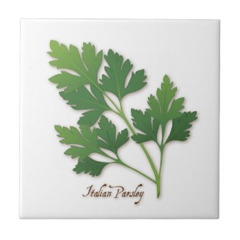 Italian Parsley Herb Tile by pomegranate_gallery at Zazzle