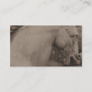 Italian Renaissance Horse Business Cards
