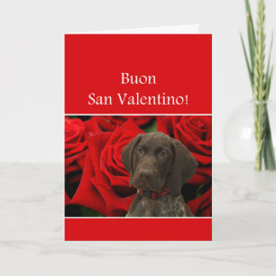 Italian San Valentino Glossy Grizzly Valentine Holiday Card